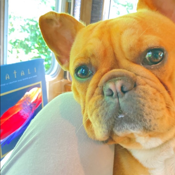 Meet your Posher, Nanette - Picture 3 of 4